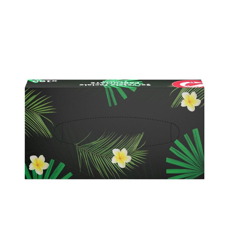 servetele-parfumate-la-cutie-cu-2-straturi-100-buc-27-pachete-auchan-5949084015614_1_1000x1000.jpg