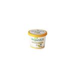 inghetata-cu-vanilie-veganice-100ml-8029682011137_1_1000x1000.jpg