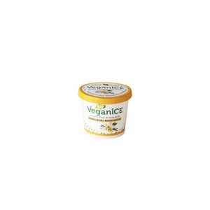 Inghetata cu vanilie Veganice, BIO, 100 ml