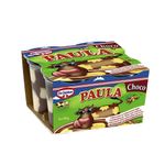 paula-pudding-cu-ciocolata-si-vanilie-dr-oetker-4x125g-8969673605150.jpg