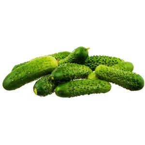 Castraveti Cornichon, +/- 1 kg