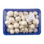 ciuperci-la-caserola-1-kg-8904756822046.jpg