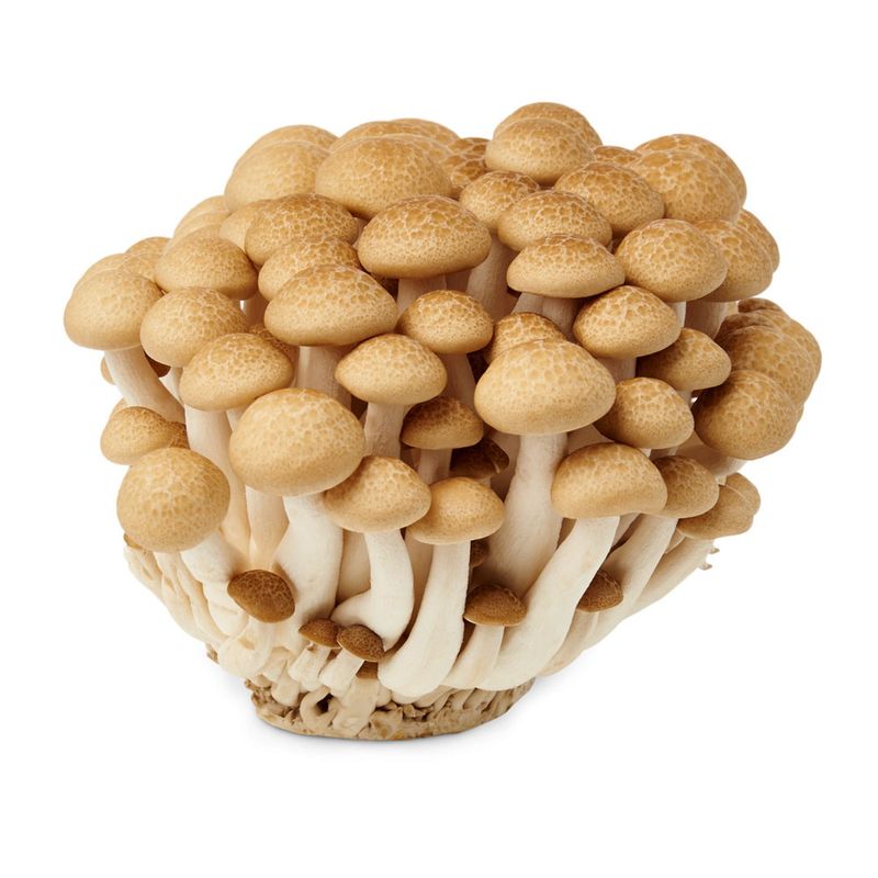 ciuperci-shimeji-maro-150-g-bucata-8905166913566.jpg