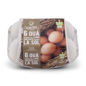 Oua de gaina, Albatros, marime M, cod 3, 6 bucati