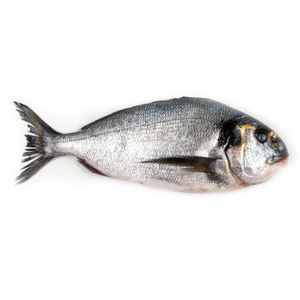 Dorada 400/600,  +/- 1 kg