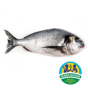 Dorada file 100/140 Filiera Auchan, +/- 1 kg