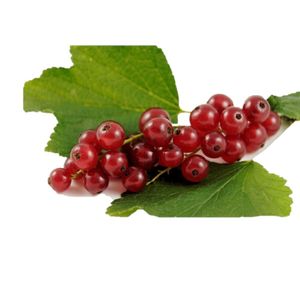 Coacaze rosii, 125 g