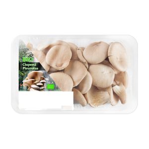 Ciuperci pleurotus ECO Agronat, 300 g