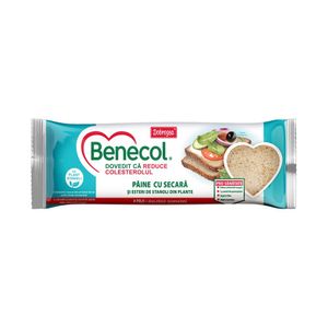 Paine cu secara Benecol, 240 g