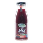 suc-mix-de-fructe-salbatice-amillaria-250-g-8963533897758.jpg