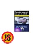 tigari-camel-activate-cigarillos-purple-59479406_1_1000x1000.jpg