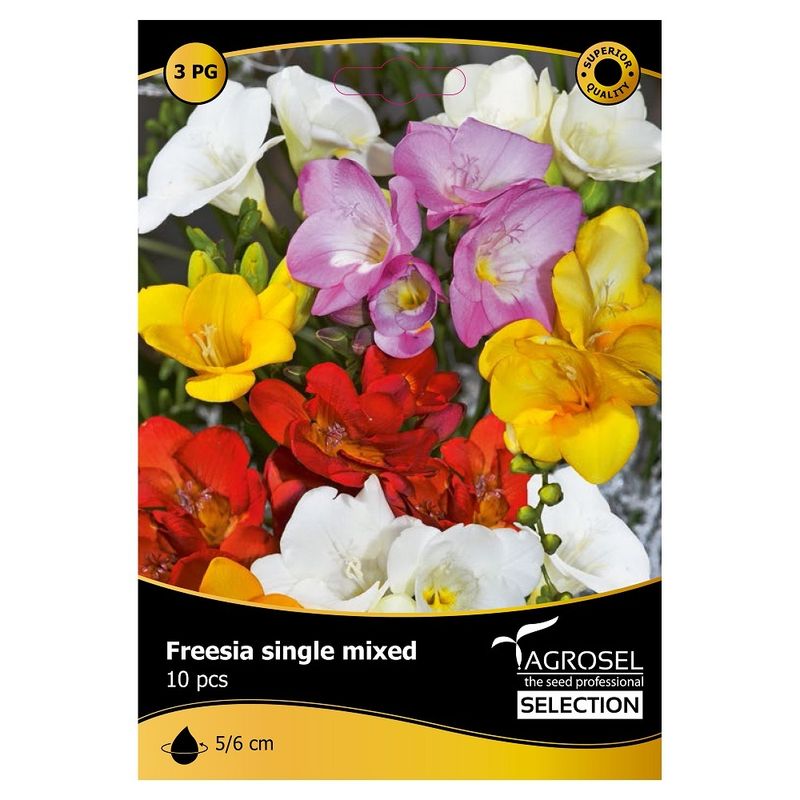 freesia-single-mix-8955110424606.jpg