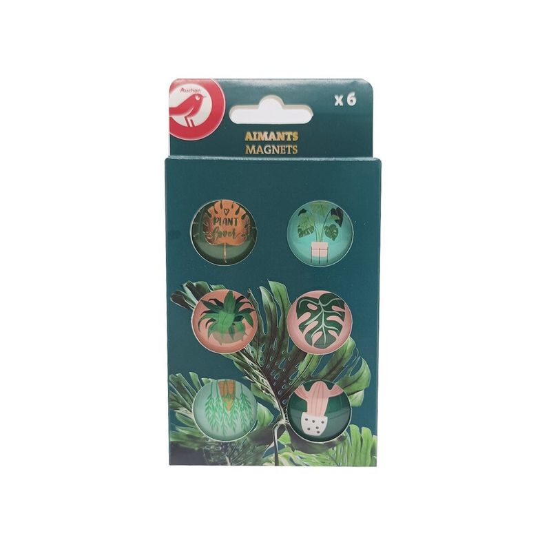 set-6-magneti-model-urban-jungle-3665257249434_1_1000x1000.jpg