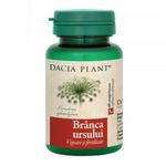 branca-ursului-dacia-plant-60-capsule-8896760610846.jpg