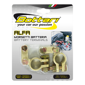 Borne Deluxe pentru acumulator auto 6 - 12V