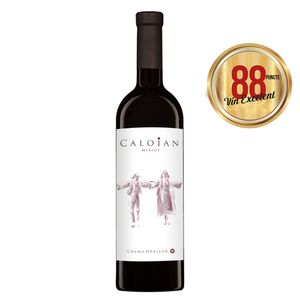 Vin rosu sec Caloian Merlot, 0.75 l
