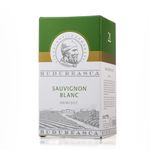 vin-budureasca-sauvignon-blanc-demisec-2l-8857407160350.jpg