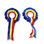 cocarda-tricolora-arhi-design-8852106379294.jpg