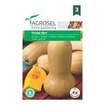 dovleac-orange-agro-8903006453790.jpg