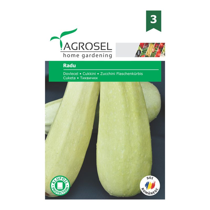 dovlecel-radu-8902973292574.jpg