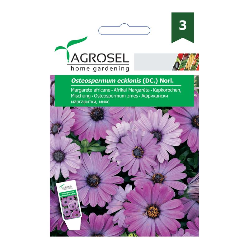 margarete-africane-8902994526238.jpg