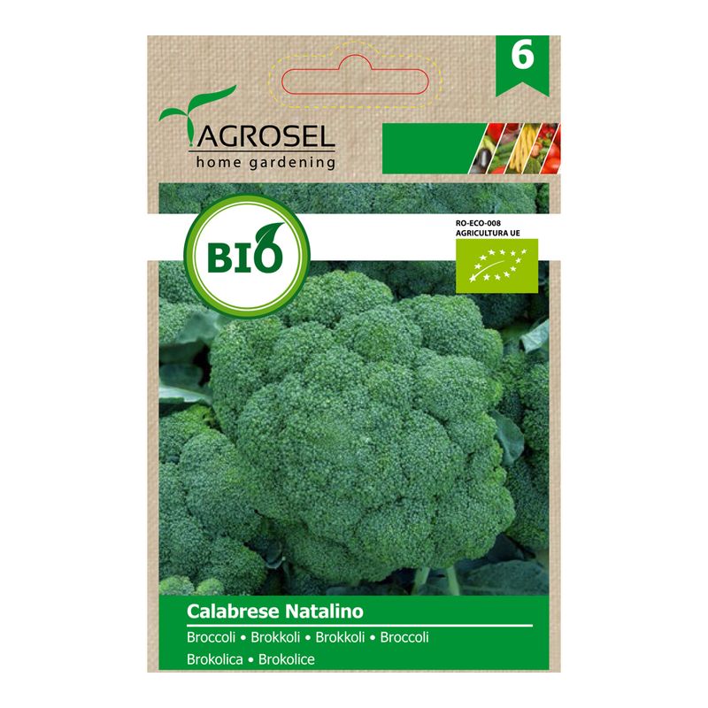 broccoli-calabrese-natalino--eco-8903025459230.jpg
