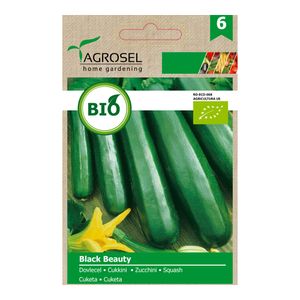 Dovlecel black beauty eco
