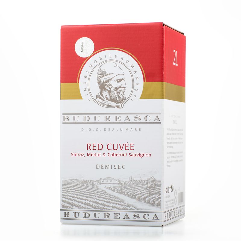 vin-budureasca-cuvee-demisec-2l-8857406898206.jpg