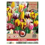 tulip-rembrandt-mix-8914743558174.jpg