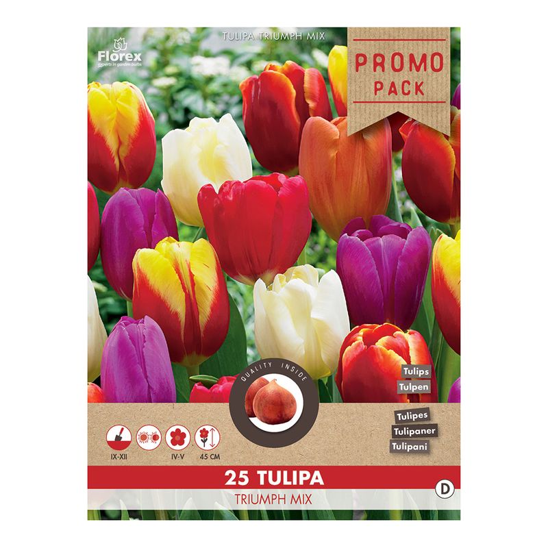 tulip-triumph-mix-8914743296030.jpg