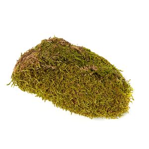 Iarba decorativa Muschi Paste