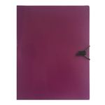 mapa-pvc-cu-20-de-file-violet-8910874902558.jpg