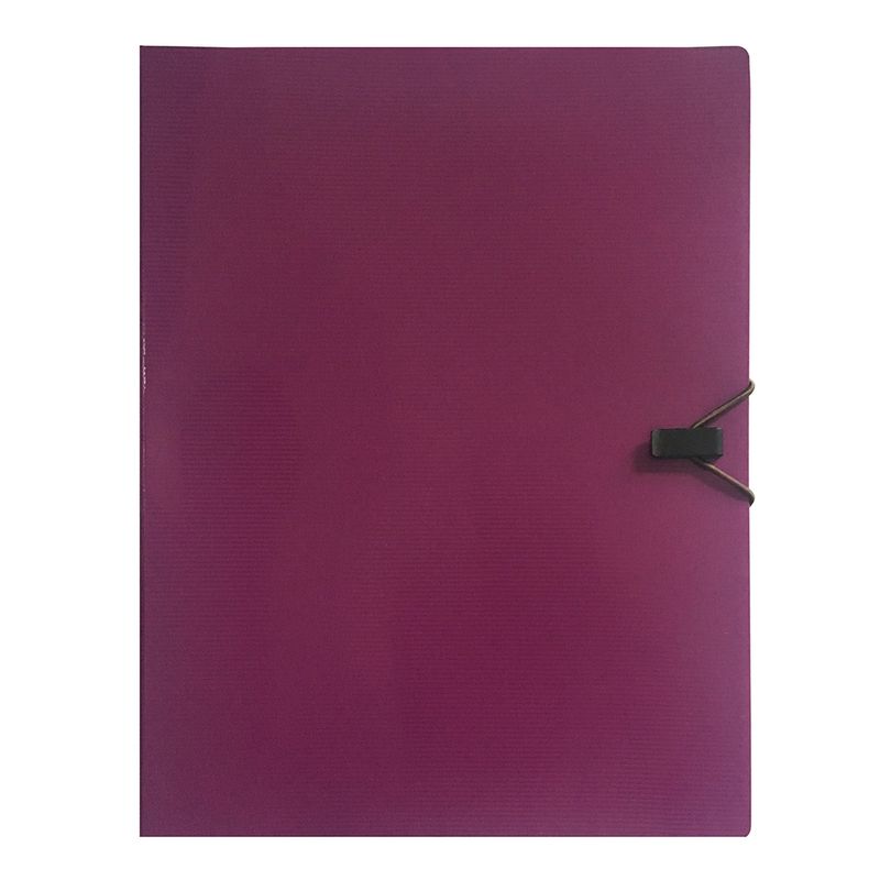 mapa-pvc-cu-20-de-file-violet-8910874902558.jpg