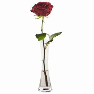 Vaza transparent Auchan Essential, 15cm
