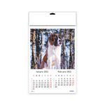 calendar-a3-policromie-cateipisici-9468984459294.jpg