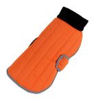 hainuta-pentru-catei-4dog-deluxe-benny-50-cm-8919266295838.jpg