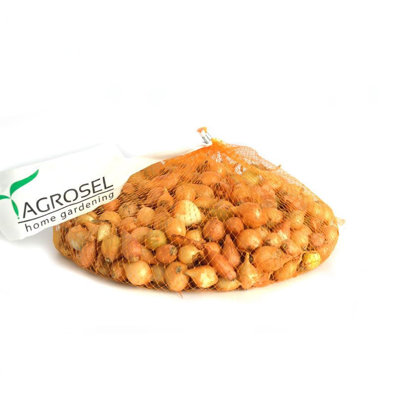 arpagic-galben-rotund--8-16-mm-8955124842526.jpg