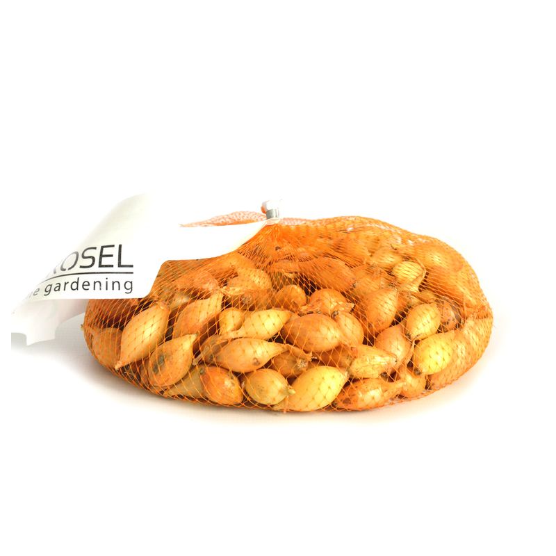 arpagic-galben-alungit--16-21-mm-8955116453918.jpg