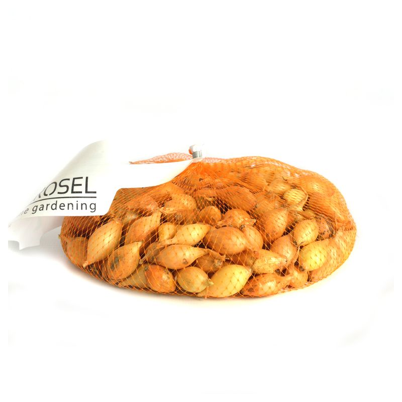 arpagic-galben-alungit--21-24-mm-8955121958942.jpg