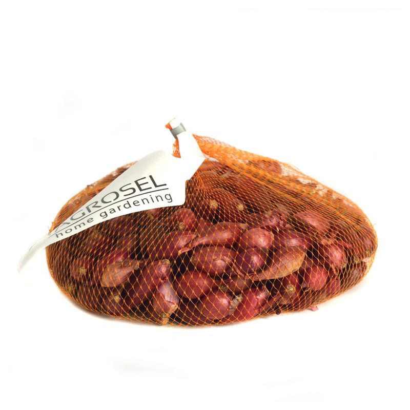 arpagic-rosu-alungit--16-21-mm-8955113308190.jpg