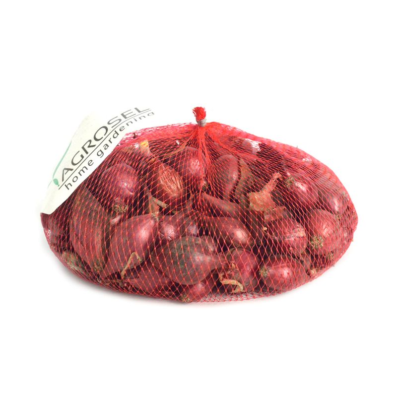 arpagic-rosu-alungit--21-24-mm-8955119075358.jpg