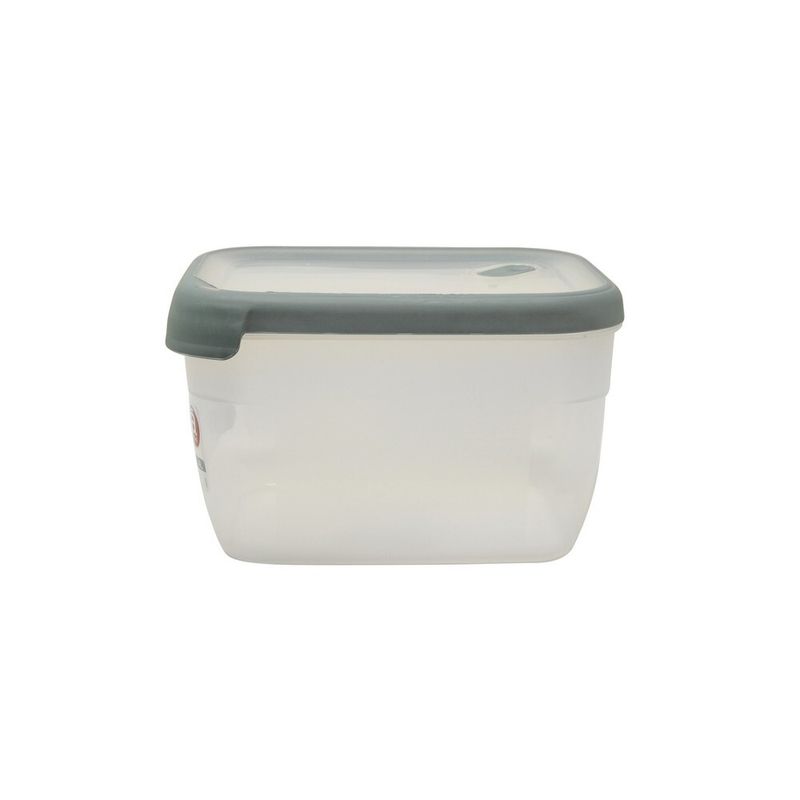 caserola-pentru-alimente-actuel-dreptunghiulara-ermetica-24-l-9337486245918.jpg