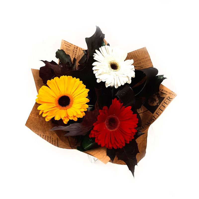 buchet-tomnatic-din-3-gerbera-9264173842462.jpg