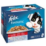 pachet-felix-fantastic-cu-pui-vita-iepure-miel-in-aspic-12-x-100g-8842486382622.jpg
