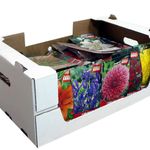 bulbi-budget-garden-8954530168862.jpg