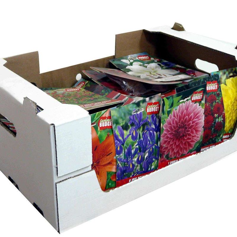 bulbi-budget-garden-8954530168862.jpg