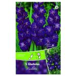 bulbi-de-gladiole-inalte-8954519420958.jpg