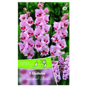 Bulbi de gladiole 12-14 cm