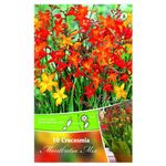 bulbi-de-crocosmia-8954520338462.jpg