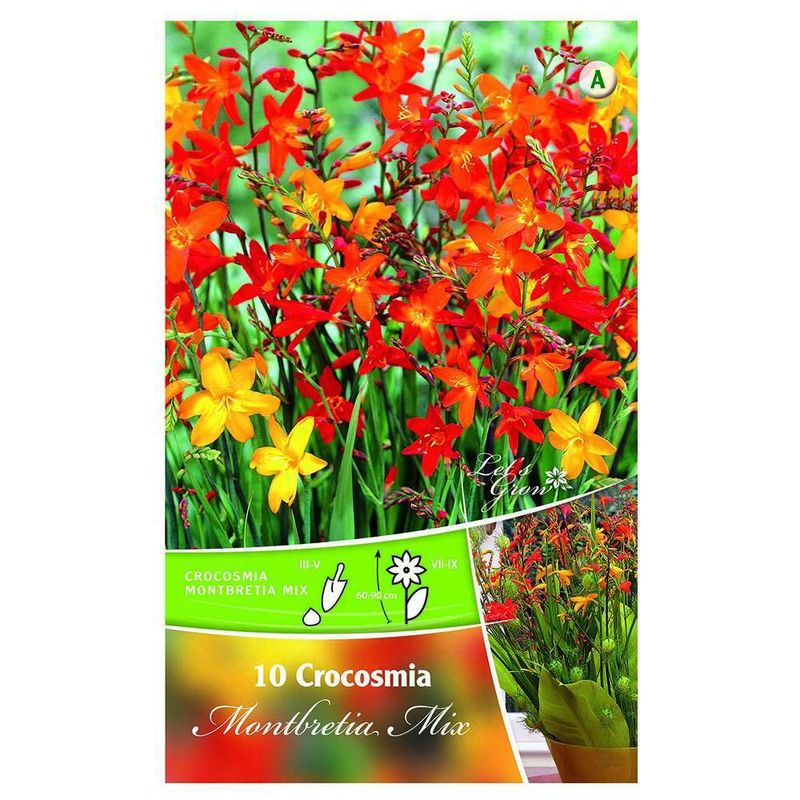 bulbi-de-crocosmia-8954520338462.jpg